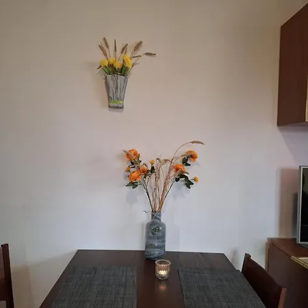 One-bedroom Terrace 公寓
